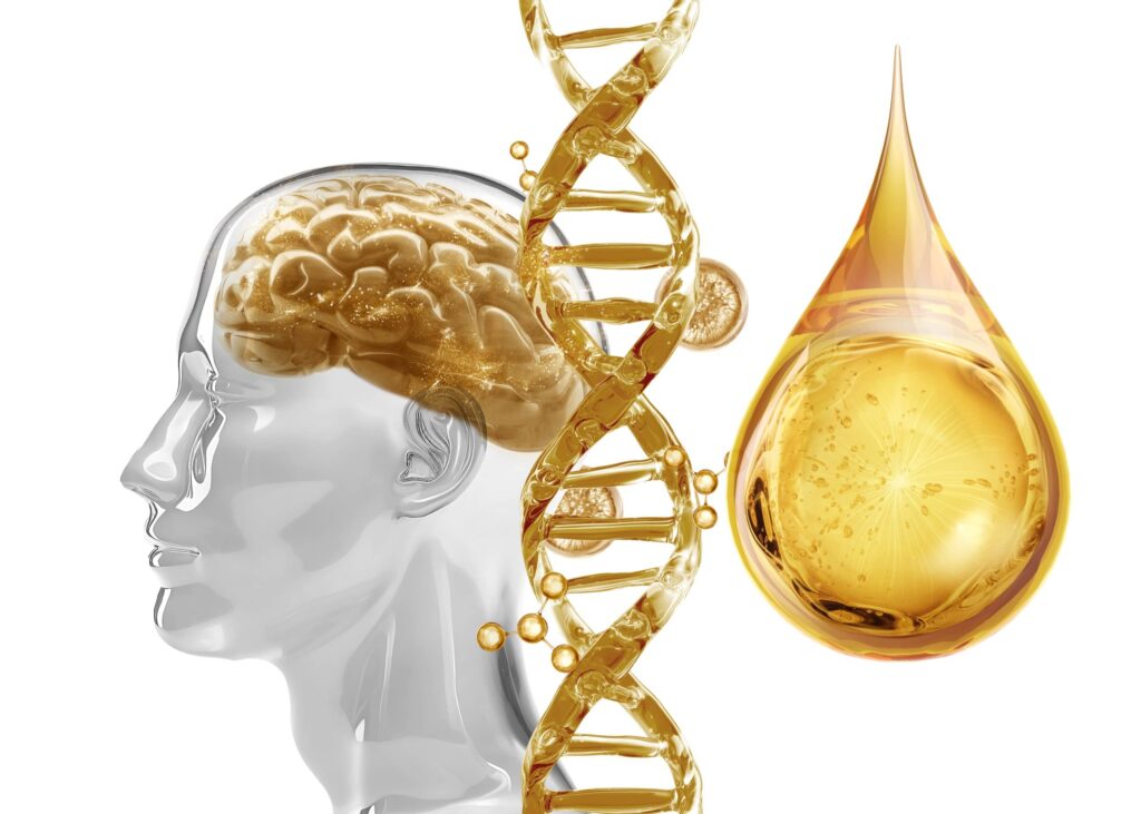 L’huile d’olive, l’ingrédient clé pour un cerveau en pleine santé
